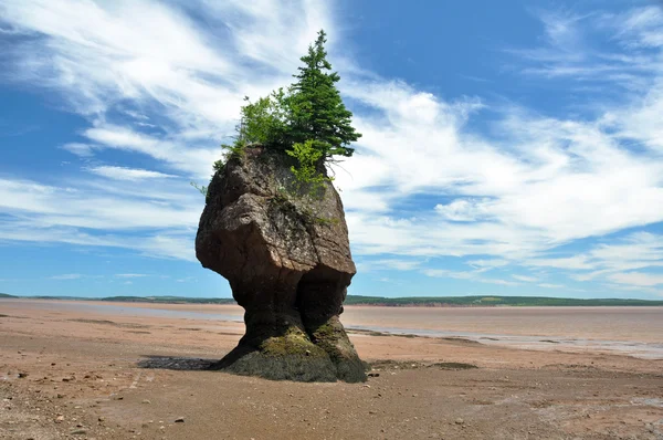 Hopewell Rocks na maré baixa, Canadá — Fotografia de Stock