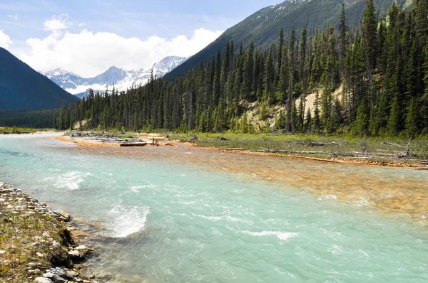 stock image Vermilion river at Kootenay National Park in Canada