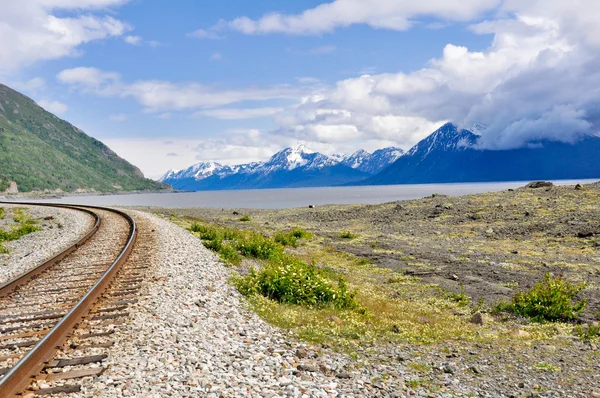 Trilhas ferroviárias atravessando a paisagem do Alasca — Fotografia de Stock