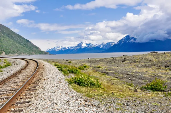 Tory kolejowe biegną alaskan krajobraz — Zdjęcie stockowe