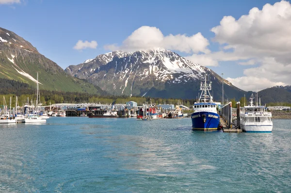 Seward Bay Harbor in Alaska — Stock Photo, Image