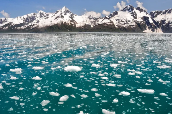Aialik Bay, Kenai Fjords Np, Alaska — Stockfoto