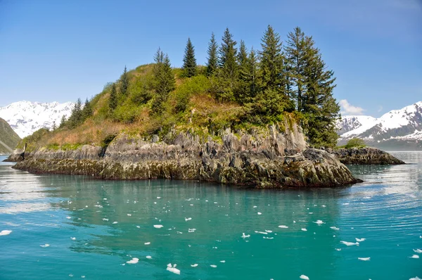 Остров сланец в заливе Аялик, фьорды Кенай, штат Аляска — стоковое фото