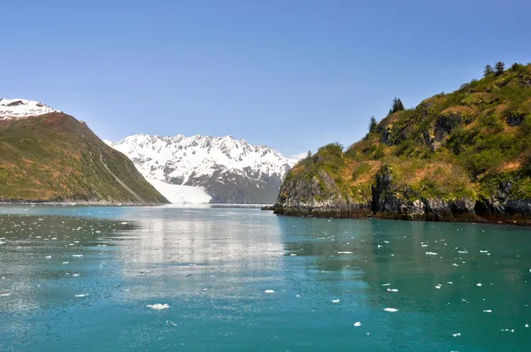 Schieferinsel in der Bucht von aialik, kenai fjords np, alaska — Stockfoto