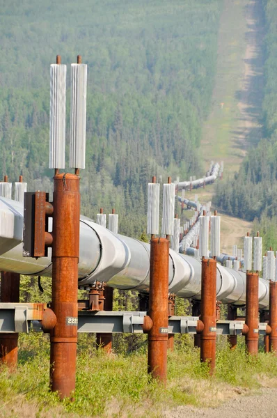 stock image Trans-Alaska Oil Pipeline (USA)