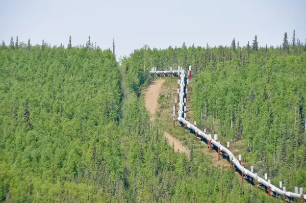 Oleoduto Trans-Alaska — Fotografia de Stock