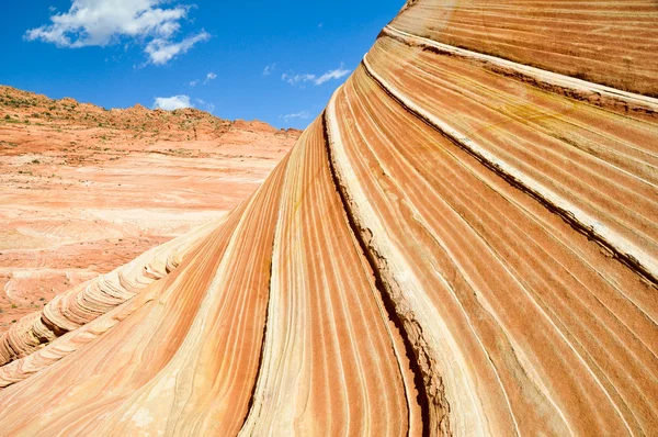 The Wave, Curva de arenisca (Arizona ) — Foto de Stock