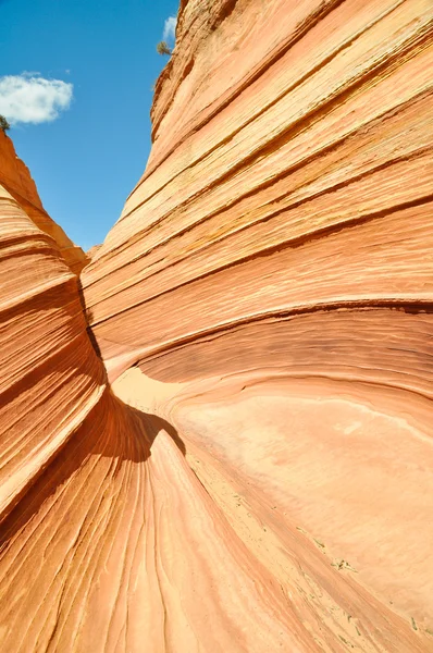 A onda, curva de arenito (Arizona ) — Fotografia de Stock