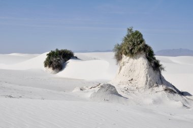 Sands Ulusal Anıtı, new mexico