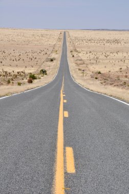 Road in the desert of New Mexico (USA) clipart