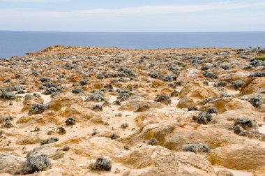 Cape bridgewater, victoria, Avustralya