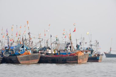 Mumbai Harbor (Hindistan)