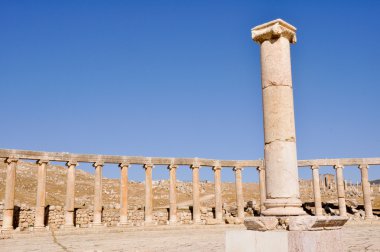 Oval Plaza adlı Jerash Harabeleri (Jordan)