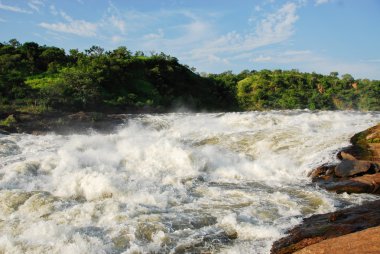 Rapids at Murchison Falls on the Victoria Nile, Uganda clipart