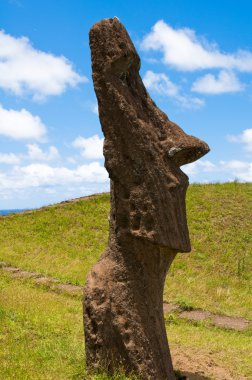 rano raraku volkan, Paskalya Adası (Şili, moais)