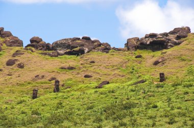 rano raraku volkan, Paskalya Adası (Şili, moais)