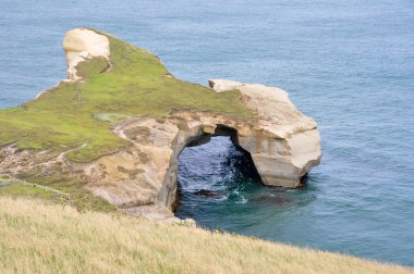 Tunnel beach at Otago Peninsula, New Zealand clipart