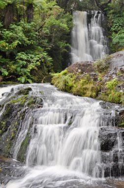 McLean Falls,The Catlins, New Zealand clipart