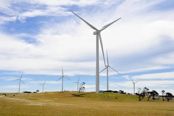 Rüzgârdan jeneratör park, Avustralya — Stok fotoğraf