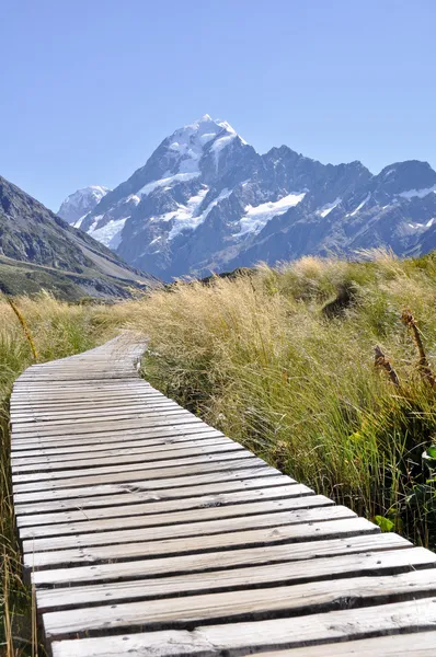 Promenade vers Mount Cook, Nouvelle-Zélande — Photo