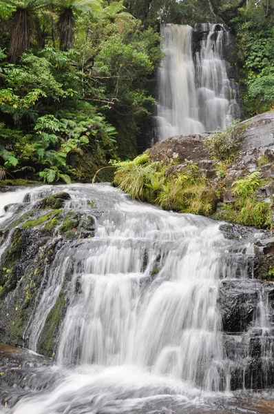 McLean falls, de catlins, Nieuw-Zeeland — Stockfoto