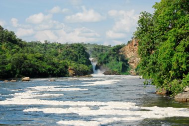 Murchison Falls on the Victoria Nile, northern Uganda clipart