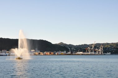 Bay Wellington, Yeni Zelanda