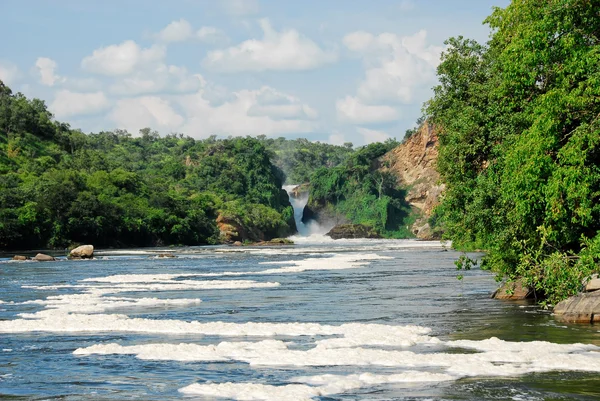 Murchison Falls no Victoria Nile, norte de Uganda — Fotografia de Stock
