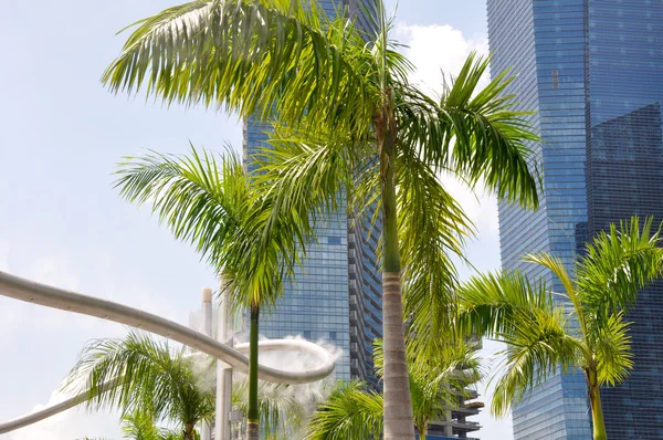 Sprinkler and palm tree in Singapore — Stock Photo, Image