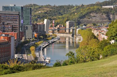 Bilbao from Etxebarria park (Spain) clipart