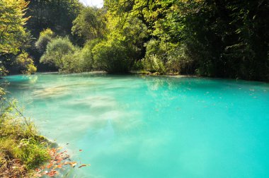 Urederra river, Navarre (Spain) clipart