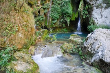 urederra Nehri, navarre (İspanya)