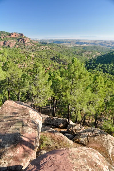Medelhavsskogarna på Albarracín sortiment — Stockfoto