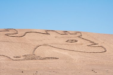 Geoglyphs. desert of Chile clipart
