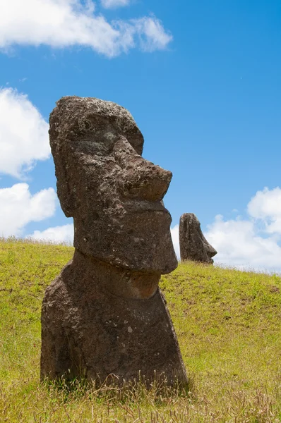 Moais at Rano Raraku, Easter island (Chile) — Stock Photo, Image