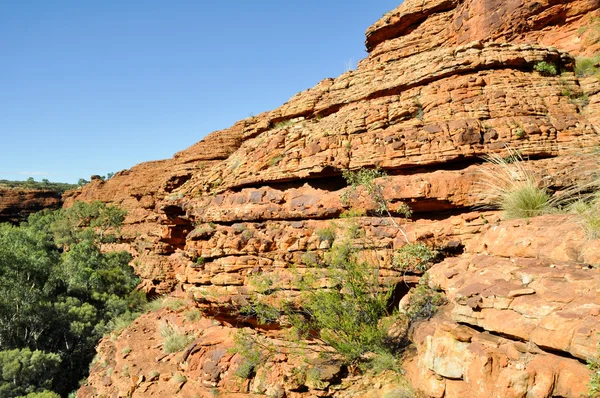 Kings canyon na Austrália — Fotografia de Stock