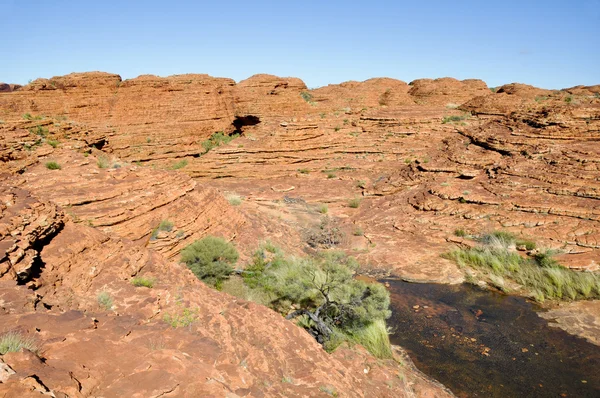 Kings canyon i Australien — Stockfoto