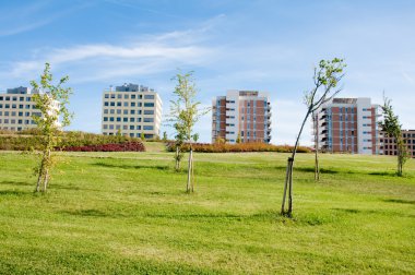 Vitoria-gasteiz (Bask Ülkesi), Avrupa yeşil sermaye