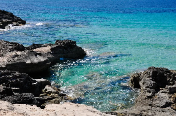 イビサ島の海岸線 (スペイン) — ストック写真