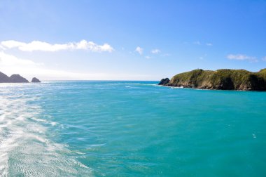 Ferry leaving to North Island across the Cook Strait clipart