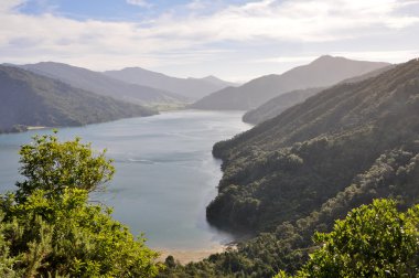 Marlborough Sounds, New Zealand clipart