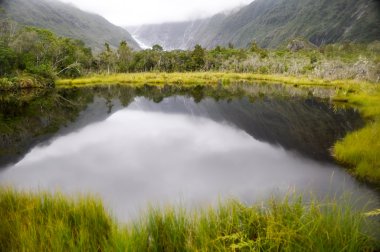 Peters Pool in Franz Josef, New Zealand clipart