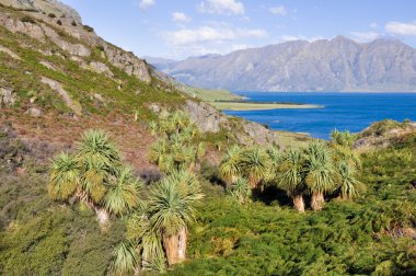 Lake hawea, wanaka, Yeni Zelanda