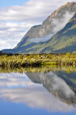 Mirror lakes, Milford Sound (New Zealand) clipart