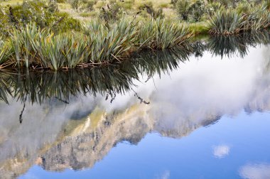 Reflection at Mirror lakes, Milford Sound (New Zealand) clipart