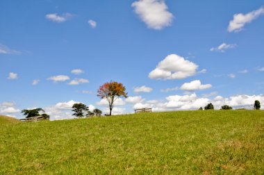 Yeni Zelanda 'da manzara