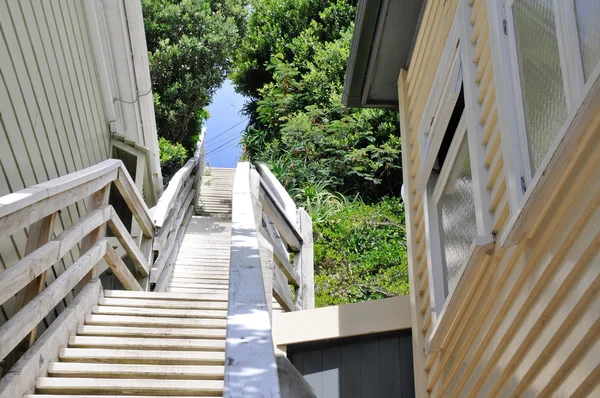Escaleras en un barrio de Wellington, Nueva Zelanda — Foto de Stock