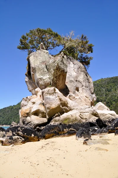 Rock at Abel Tasman National Park, Nova Zelândia — Fotografia de Stock