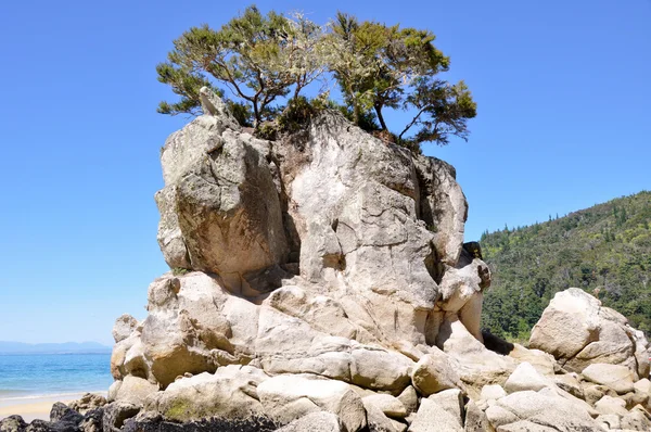 Rock im Tasman Nationalpark, Neuseeland — Stockfoto