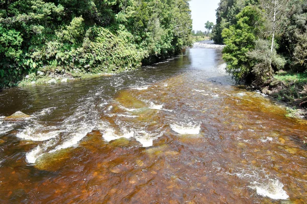 Matheson rivier, Nieuw-Zeeland — Stockfoto